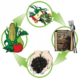 compost