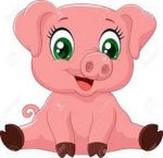 cochon